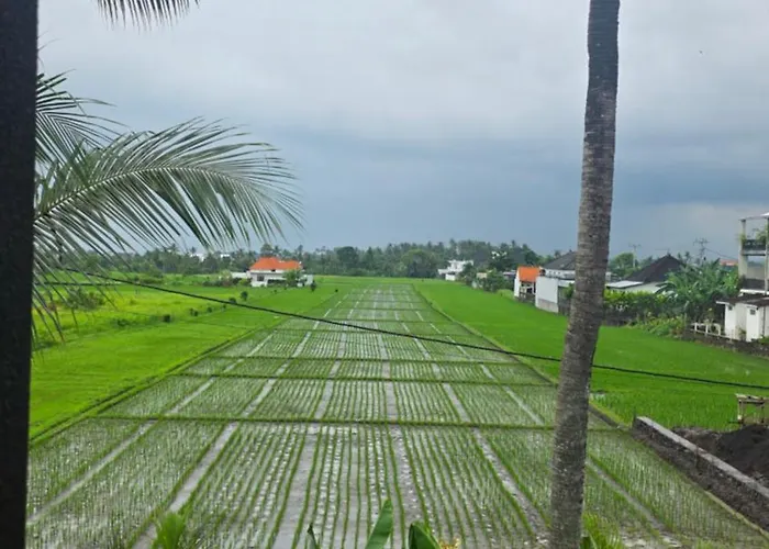 Tibah Apartahotel